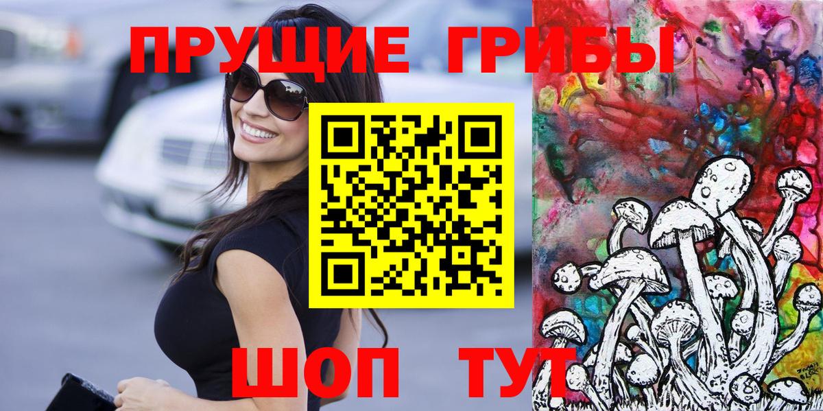 Сухой Лог  наркота  Вход с VPN  Галлюциногенные грибы Psilocybine cubensis 