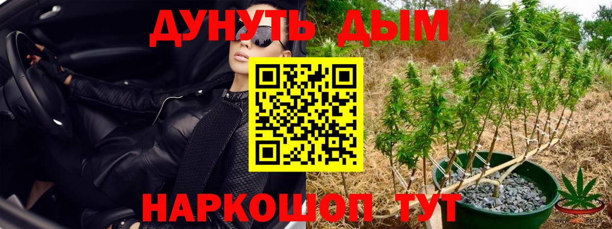 Конопля Ganja  Вход с VPN  Сухой Лог  Канабис VHQ 